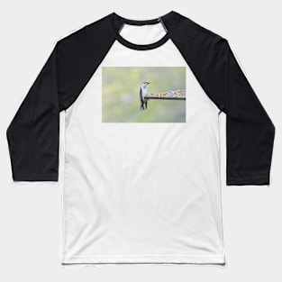 Nuthatch Baseball T-Shirt